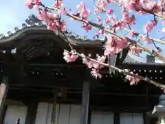 無動寺（延暦寺塔頭）の建物その他