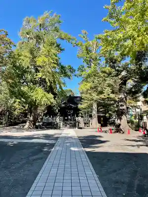 亀岡八幡宮(亀岡八幡神社)(神奈川県)
