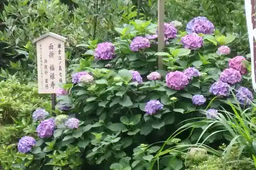 御霊神社の自然