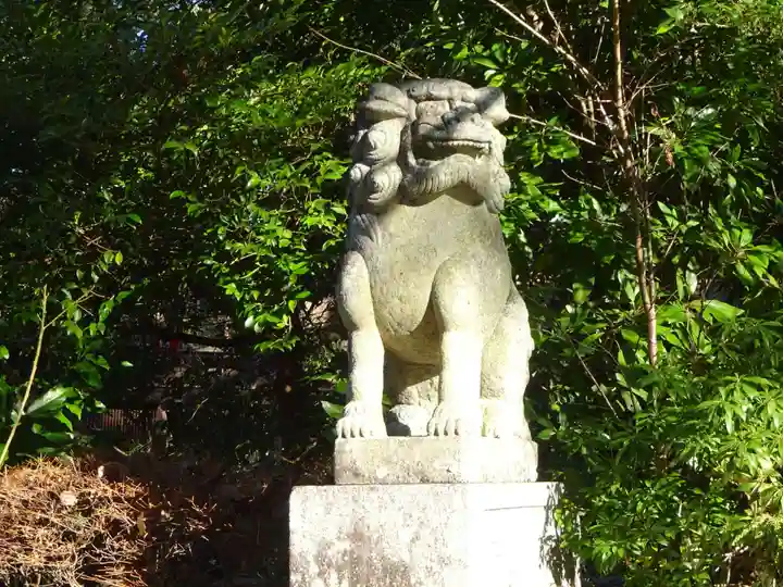 報徳二宮神社の狛犬