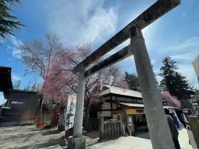 大前恵比寿神社の{uncategorized: "未分類", other: "その他", undefined: "問題あり", building: "その他建物", grave: "お墓", sacred_gate: "鳥居", guardian: "狛犬", statue: "像", buddha: "仏像", history: "歴史", nature: "自然", garden: "庭園", animal: "動物", pagoda: "塔", temizu: "手水舎", mountain_gate: "山門・神門", sanctuary: "本殿・本堂", subordinate: "末社・摂社", art: "芸術", scenery: "景色", jizo: "地蔵", ema: "絵馬", goshuin: "御朱印", omikuji: "おみくじ", items: "授与品その他", amulet: "お守り", goshuincho: "御朱印帳", eats: "食事", festival: "お祭り", votive_dance: "神楽", shichigosan: "七五三参", wedding: "結婚式", experience: "体験その他", initially: "初詣", around: "周辺", anti_infection: "感染症対策"}