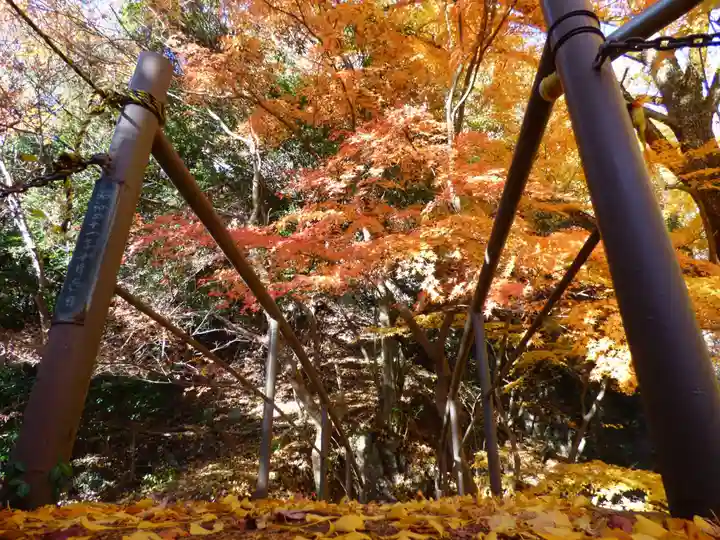 行道山 浄因寺(栃木県)