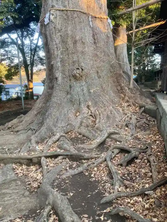 五霊神社(神奈川県)