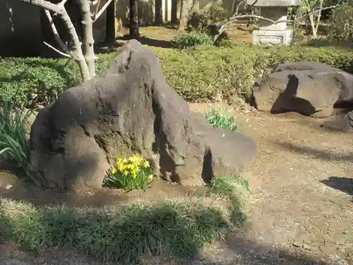 金泉寺(埼玉県)