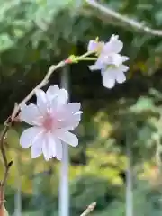 大生郷天満宮の自然