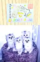 阿邪訶根神社の御朱印