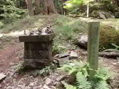 名草厳島神社の自然