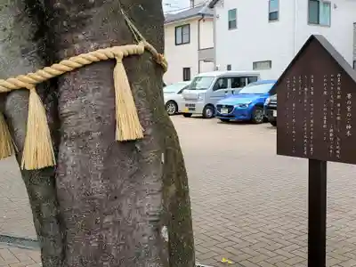 徳井神社のその他建物