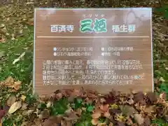 百済寺の建物その他