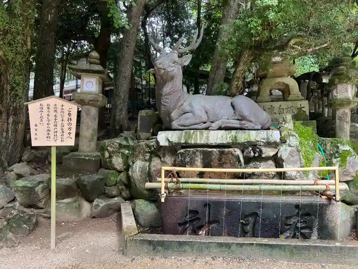 春日大社の手水舎