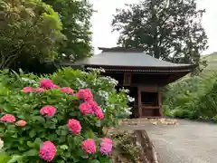 普門寺(切り絵御朱印発祥の寺)の庭園