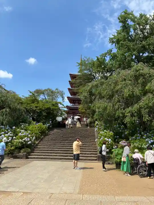本土寺(千葉県)