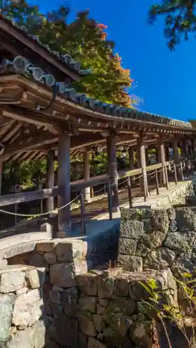 長谷寺(奈良県)