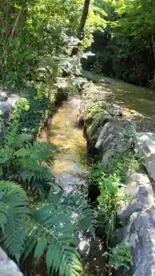 鍬山神社(京都府)
