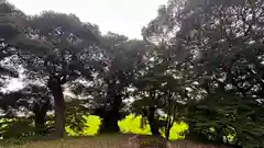 芦高神社(京都府)