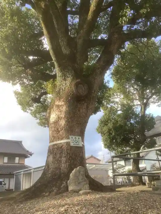 八王子神社(春日井)の庭園
