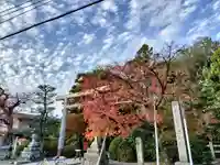 木嶋坐天照御魂神社(京都府)