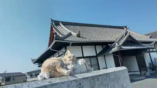 極楽寺の狛犬