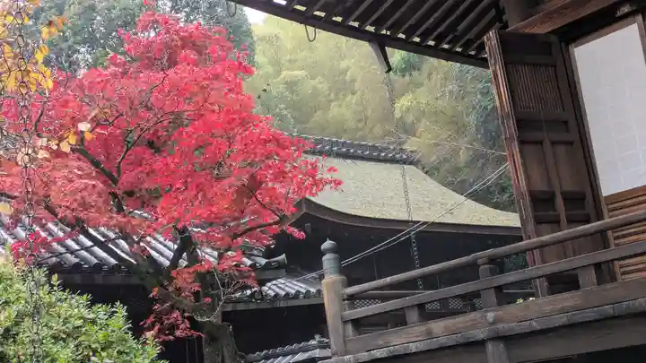観音寺(山崎聖天)(京都府)