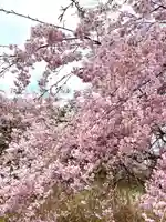 諏訪神社の自然