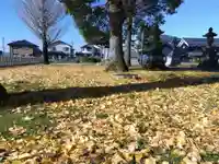 日吉神社(福井県)