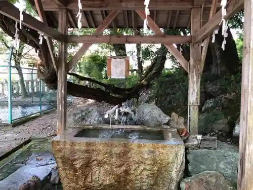 天鷹神社(岐阜県)