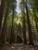 船木神社の鳥居