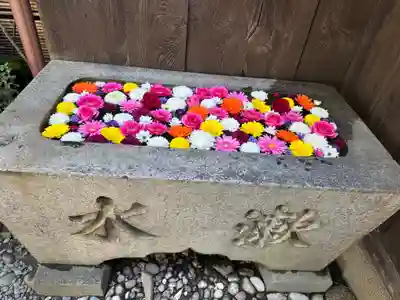 菅生神社(愛知県)