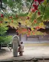 滑川神社 - 仕事と子どもの守り神の七五三参