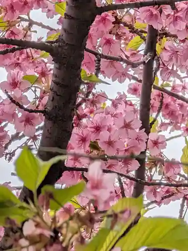源空寺(東京都)