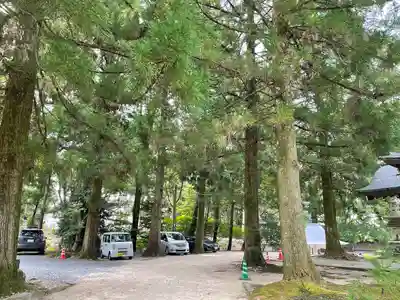 豊栄神社(山口県)