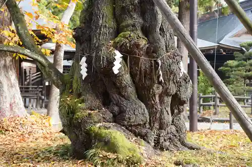 蠶養國神社の自然