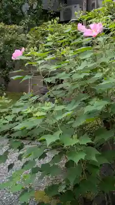 休務寺(京都府)