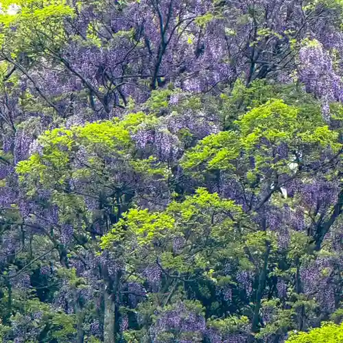 伊勢の国 四天王寺(三重県)