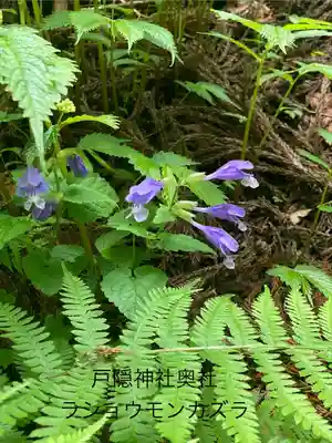 戸隠神社九頭龍社(長野県)