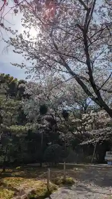 龍安寺(京都府)