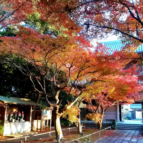 西見寺のその他建物