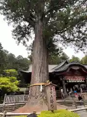 北口本宮冨士浅間神社(山梨県)