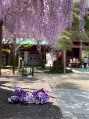 笠間稲荷神社のその他建物