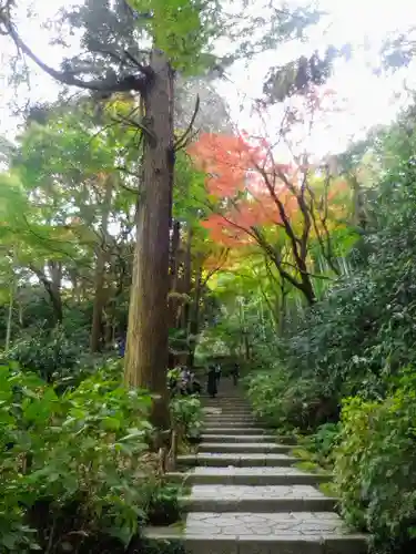 瑞泉寺の庭園