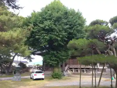 養照寺(富山県)