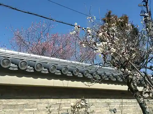 天龍寺(京都府)