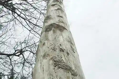 諏訪大社上社前宮の自然