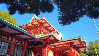 富岡八幡宮の本殿・本堂