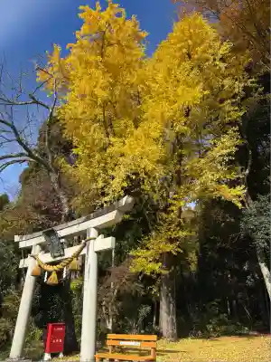 安楽寺釈迦堂(滋賀県)