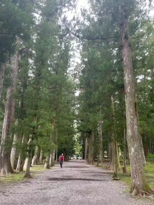 熊野本宮大社(和歌山県)