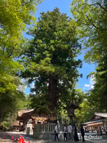 諏訪大社下社秋宮(長野県)