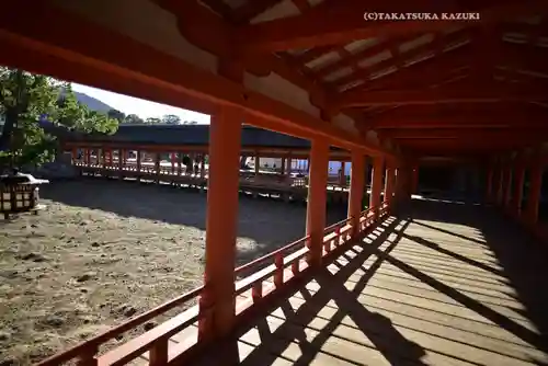 厳島神社(広島県)