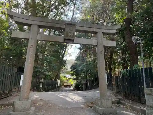 平塚八幡宮(神奈川県)