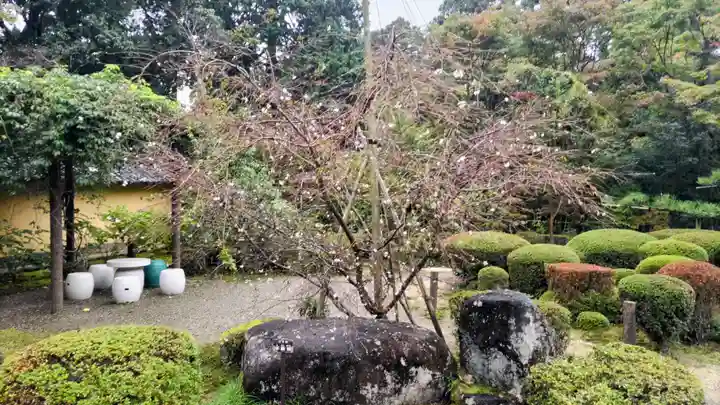 西明寺(滋賀県)
